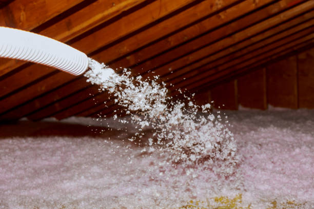 Best Commercial Insulation in Waldo, AR