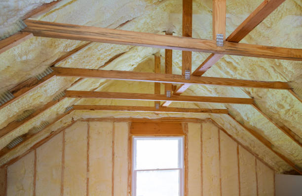 Best Cellulose Insulation in Waldo, AR