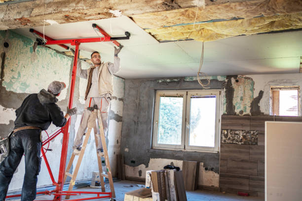 Best Eco-Friendly Insulation in Waldo, AR