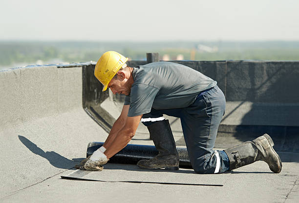 Best Geographic-Specific Insulation Services in Waldo, AR