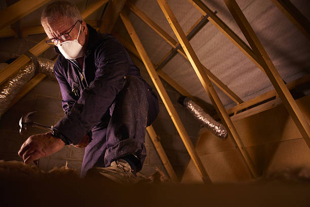 Best Residential Insulation in Waldo, AR